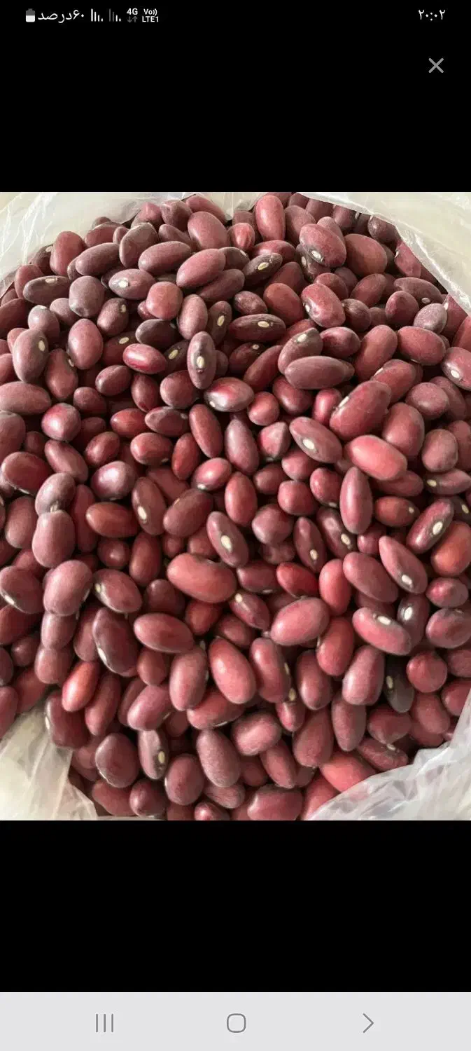 لوبیا قرمز درجه یک اعلا|عمده‌فروشی|سمیرم, |دیوار