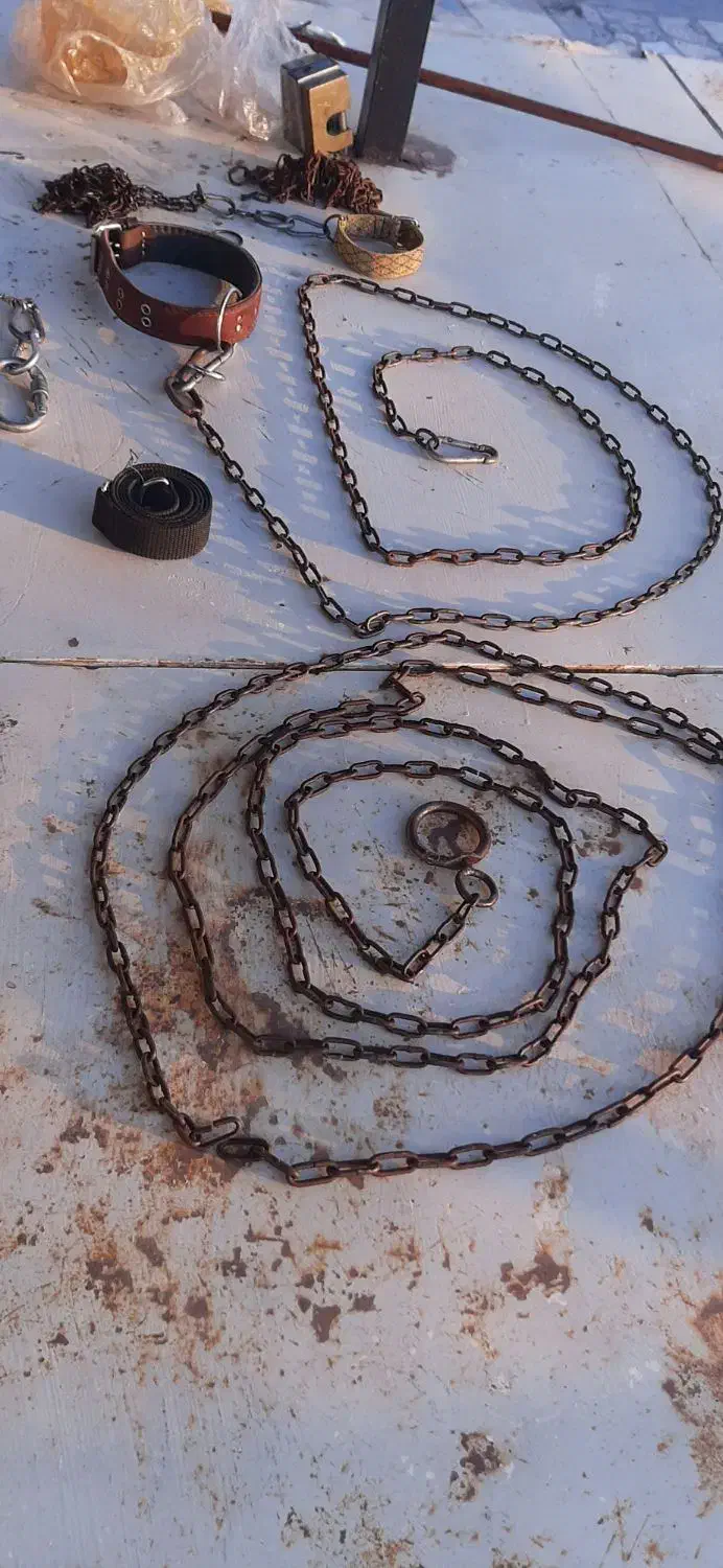 قلاده چرمی وزنجیر قدیمی|لوازم جانبی حیوانات|قزوین, |دیوار