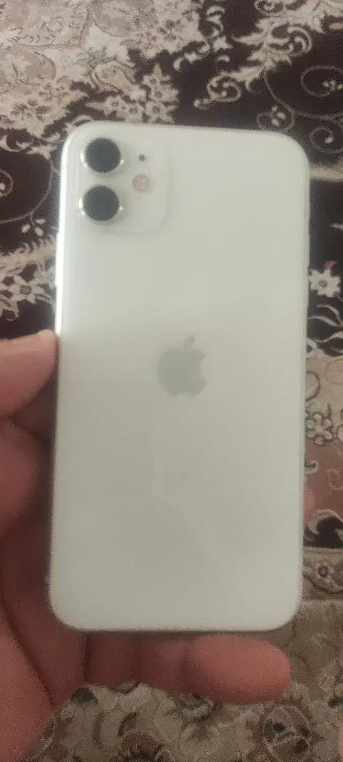 آیفون ۱۱نرمال|موبایل|مشهد, حسابی جنوبی (شهرک غرب)|دیوار