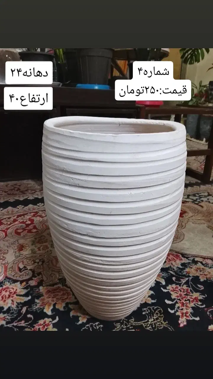 گلدان سفالی|گل و گیاه طبیعی|شاهینشهر, حافظ شمالی|دیوار