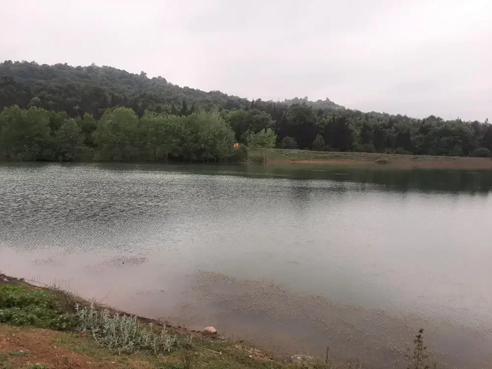 زمین تک برگ همصفا|فروش زمین و ملک کلنگی|امامزاده عبدالله, |دیوار