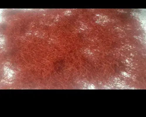 نگین.زعفران.گل زعفران|خوردنی و آشامیدنی|تربتحیدریه, پائین ولایت|دیوار