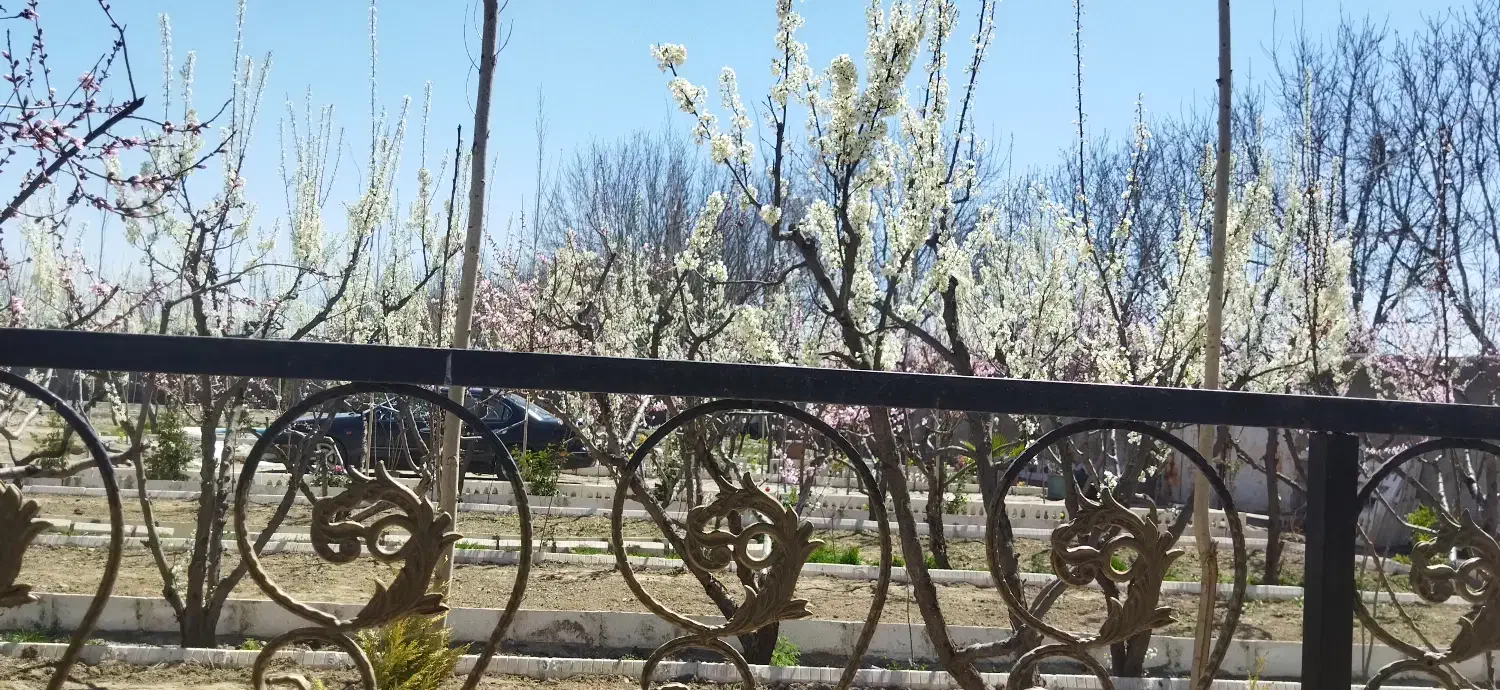 فروش باغ ویلا|فروش خانه و ویلا|هشتگرد, ایقربلاغ|دیوار