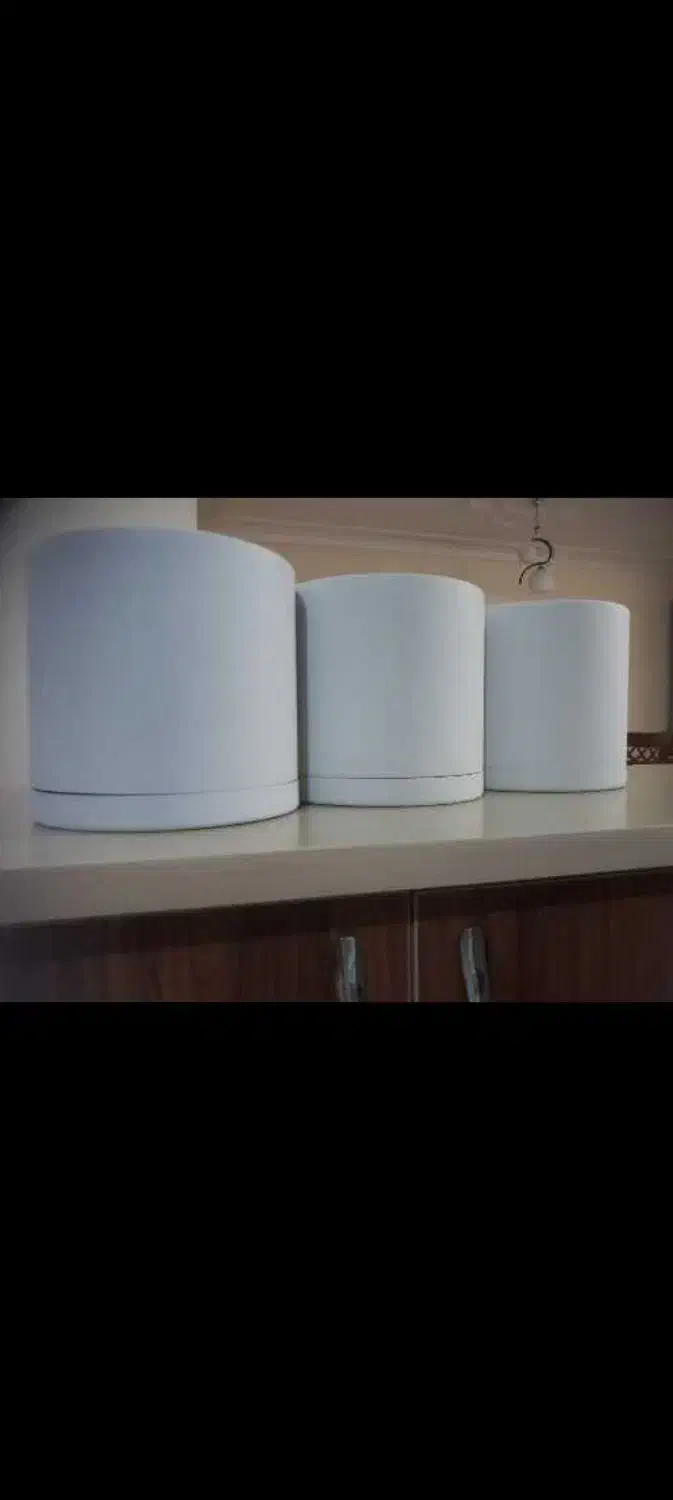 گلدان پلیمری|گل و گیاه طبیعی|رشت, نامجو|دیوار