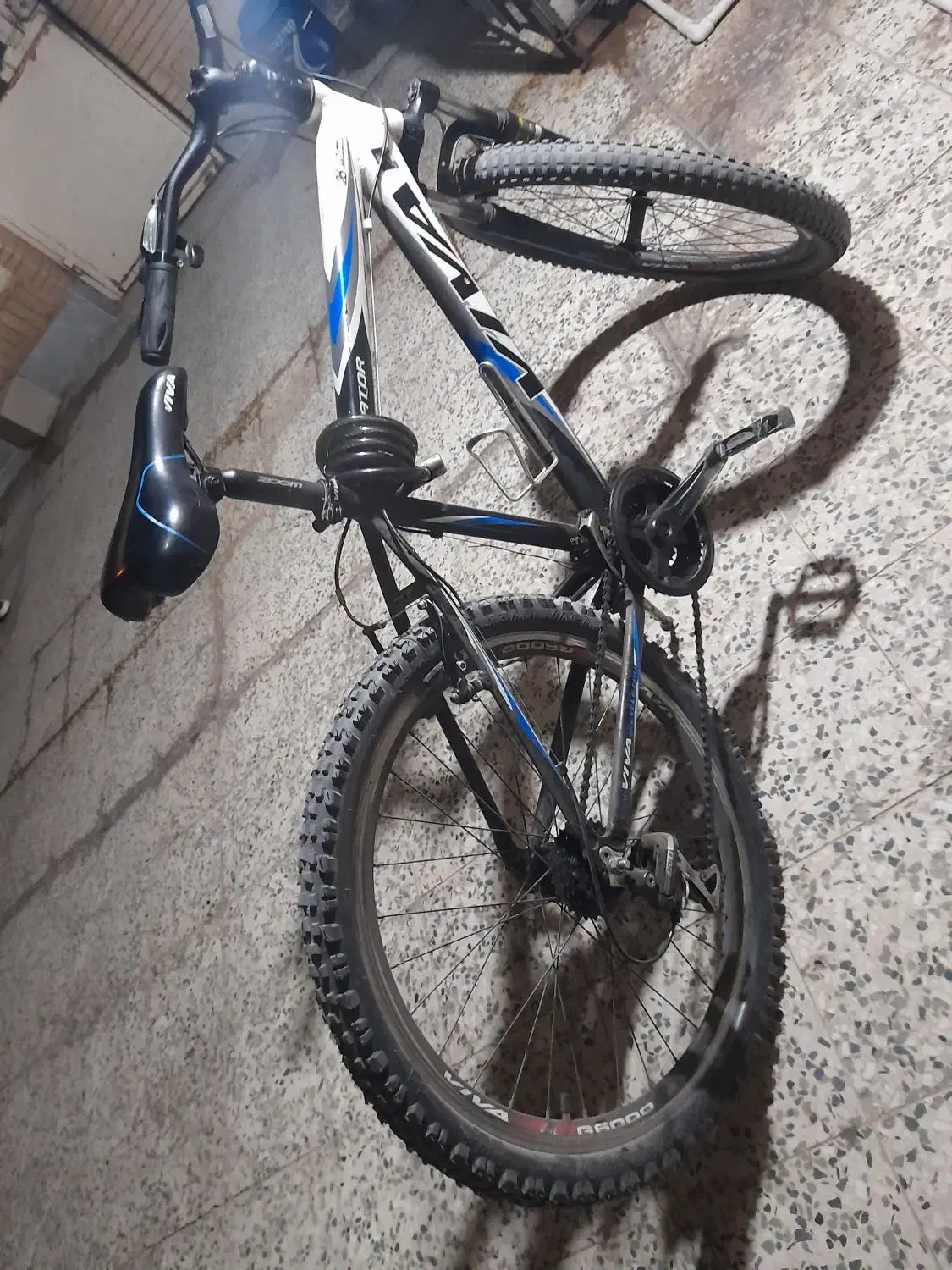 دوچرخه ویوا|دوچرخه، اسکیت، اسکوتر|اهواز, کوی مهدیس|دیوار