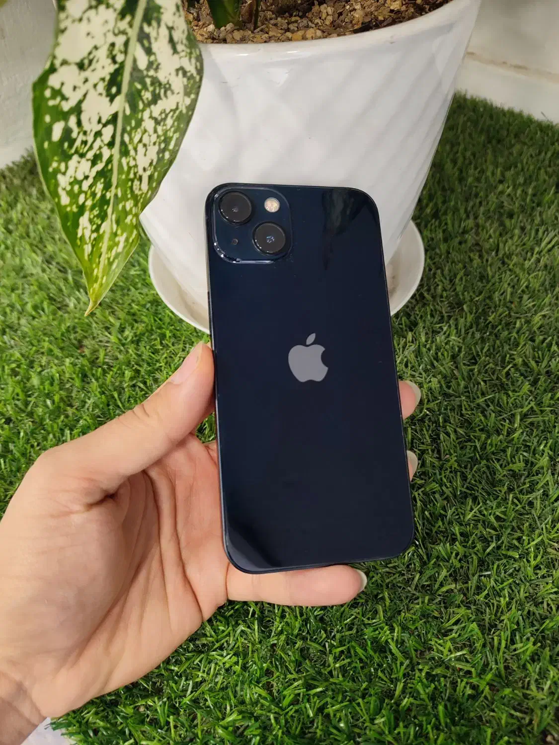 iPhone 13|موبایل|تربت جام, المهدی|دیوار