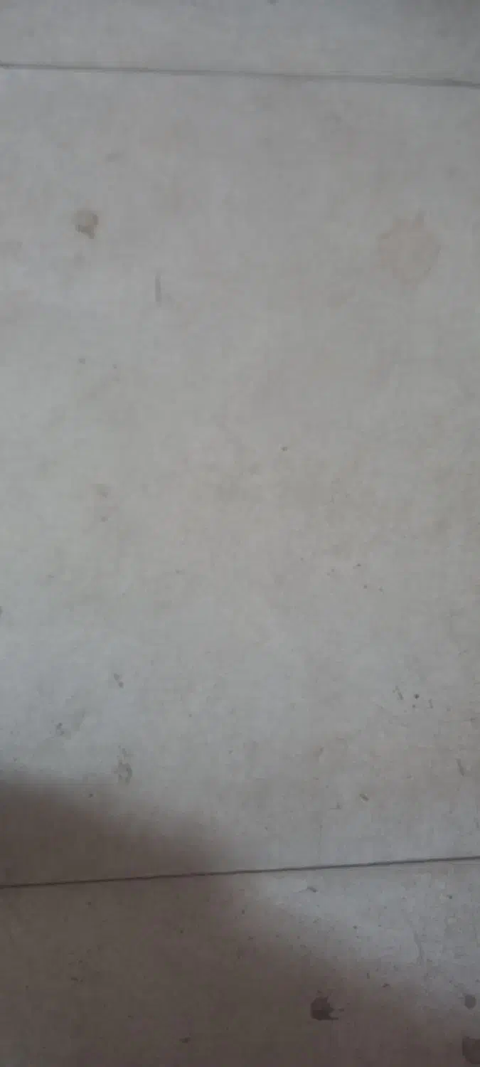 کودسفید|گل و گیاه طبیعی|کوهدشت, |دیوار