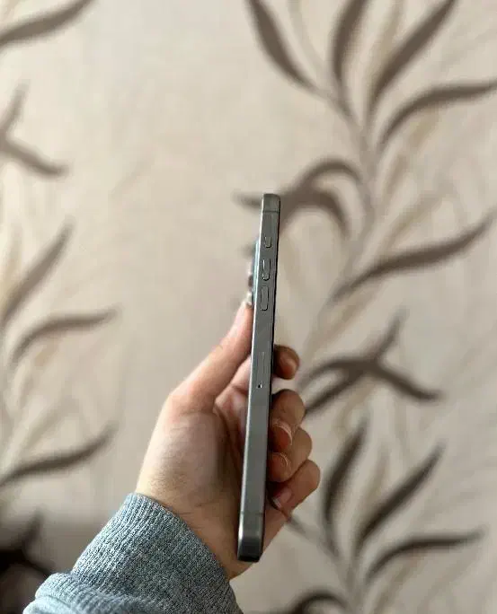 آیفون 15 پرومکس|موبایل|بجنورد, |دیوار