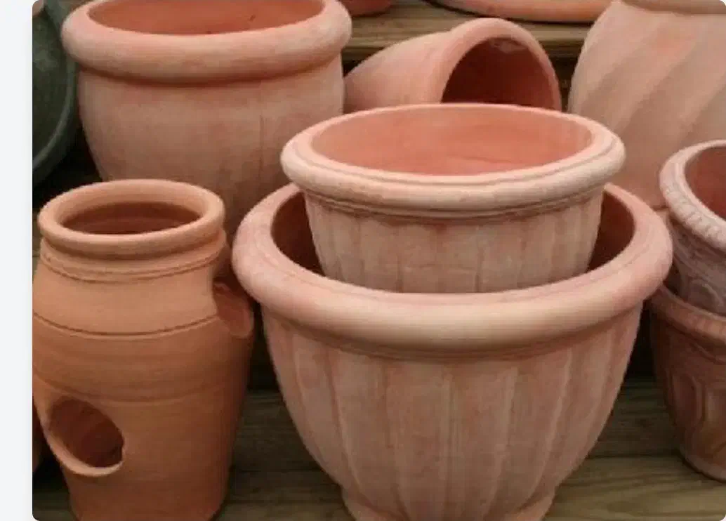 فروش گلدان بزرگ|گل و گیاه طبیعی|دوگنبدان, |دیوار