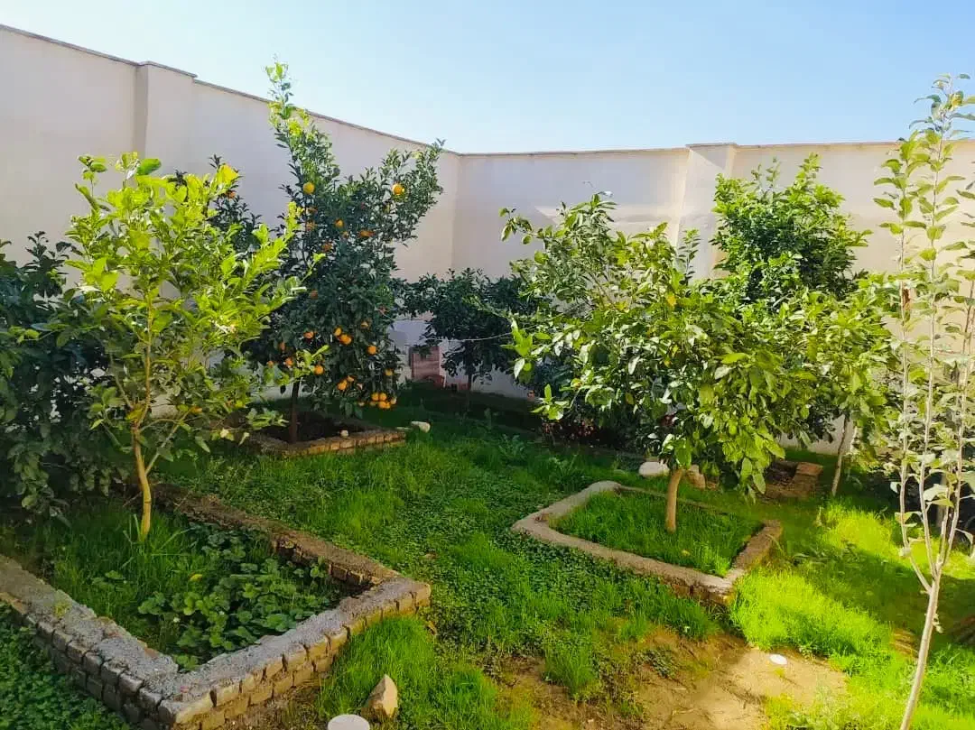 فروش ملک|فروش خانه و ویلا|خلیل شهر, |دیوار