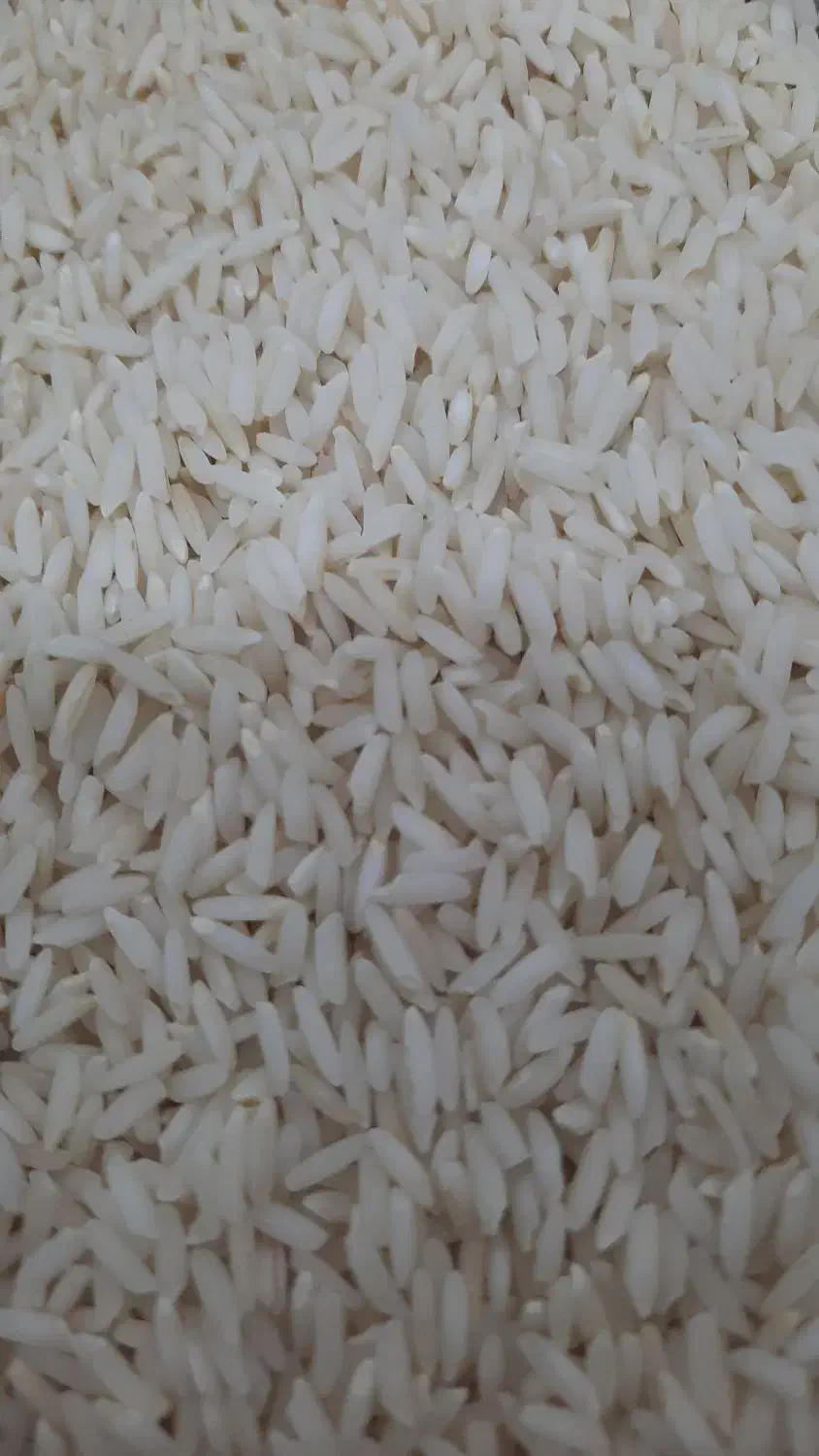 انواع برنج اعلا|خوردنی و آشامیدنی|رشت, پیرسرا|دیوار