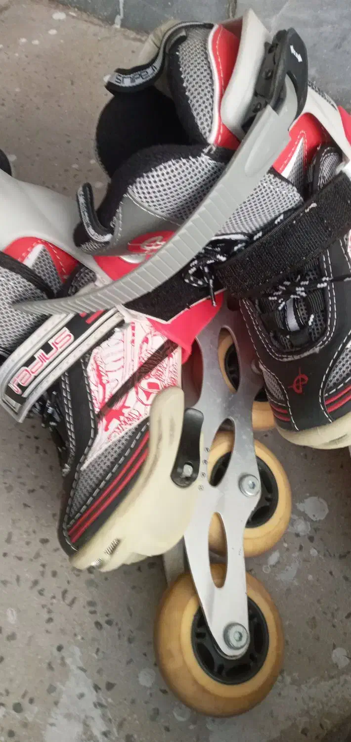 اسکیت با تمام لوازم|دوچرخه، اسکیت، اسکوتر|اندیشه, اندیشه فاز ۱|دیوار