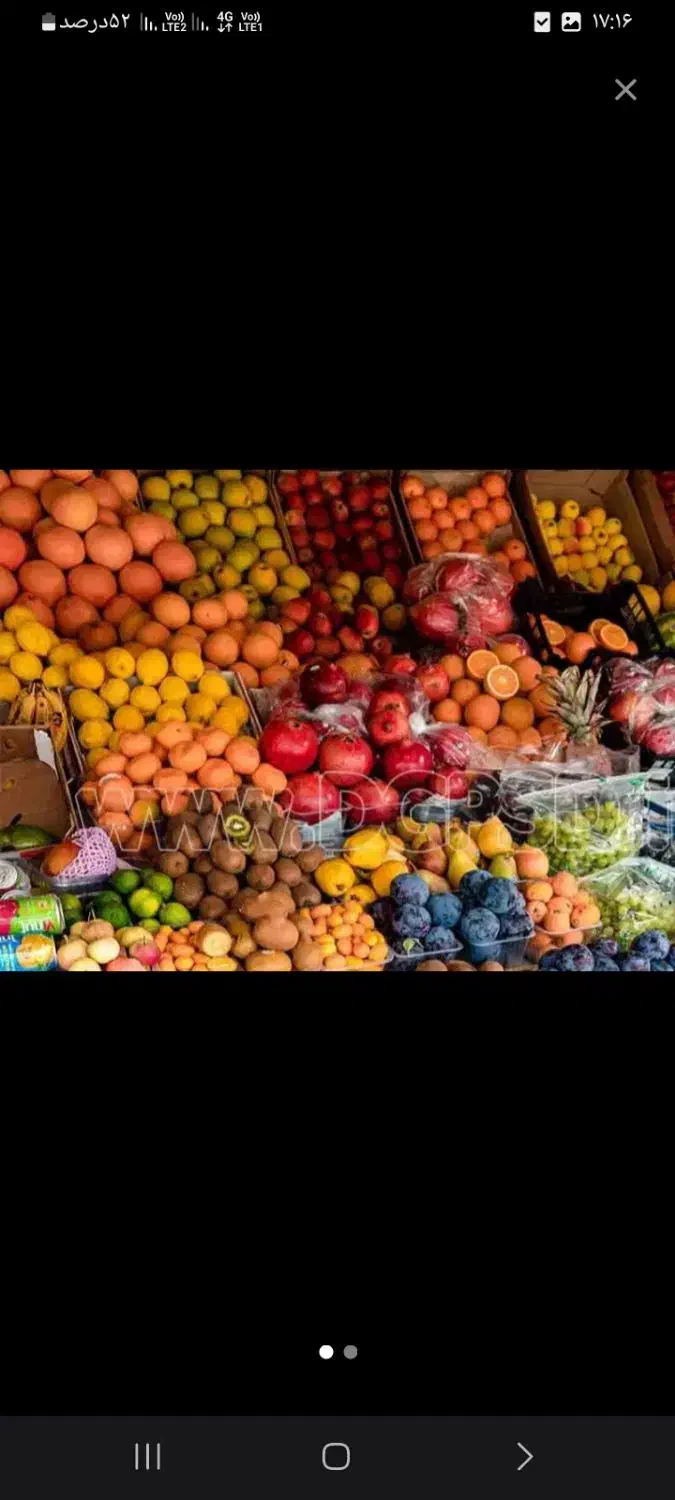 پخش میوه و صیفی جات|خدمات پذیرایی، مراسم|تهران, میدان میوه و ترهبار مرکزی|دیوار