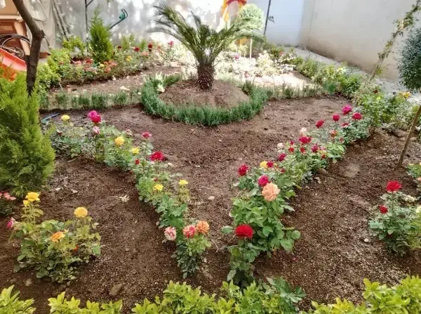 خدمات باغبانی هرسکاری گل کاری و تعویض خاک گلدون|خدمات باغبانی و درختکاری|تهران, صادقیه|دیوار