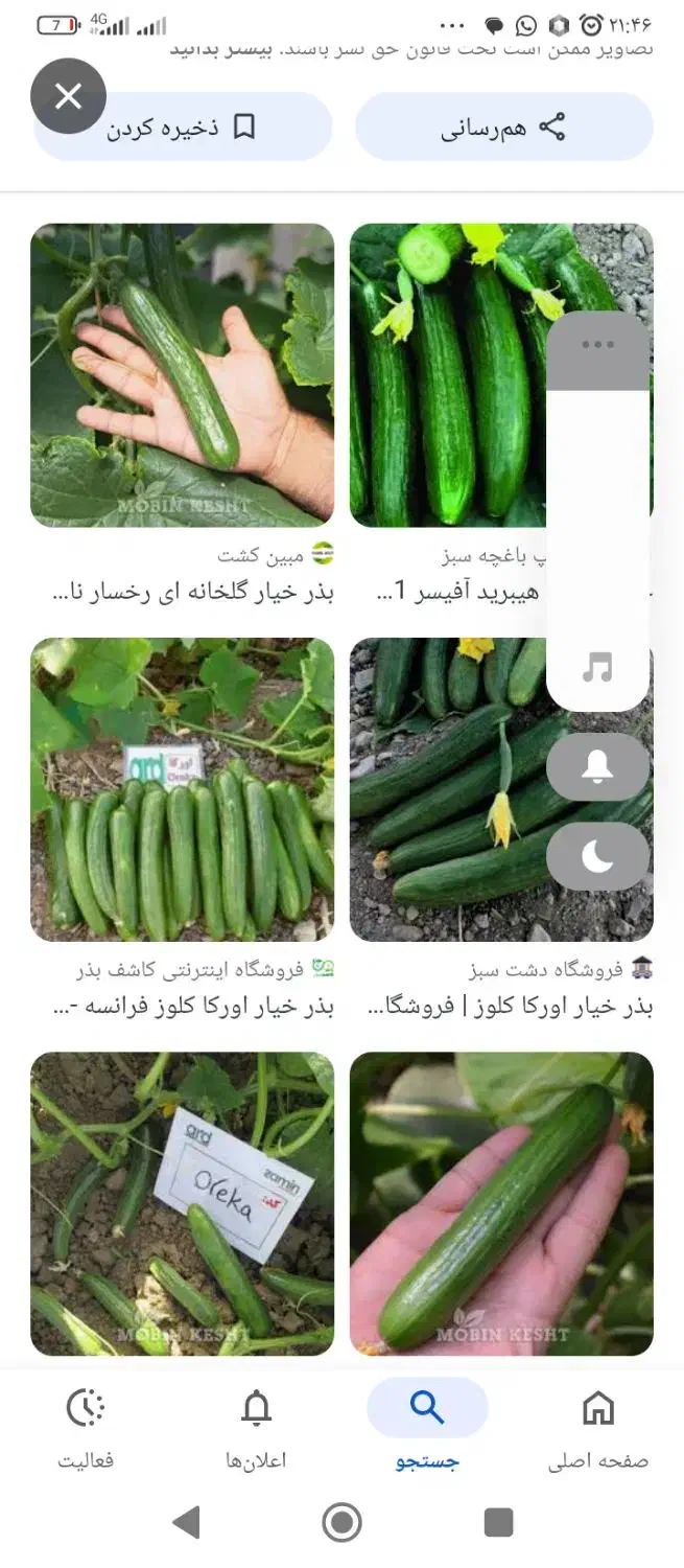 اجاره ۳ هکتار زمین دیم با چاه دربست|اجارهٔ دفتر صنعتی، کشاورزی، تجاری|نورآباد, |دیوار