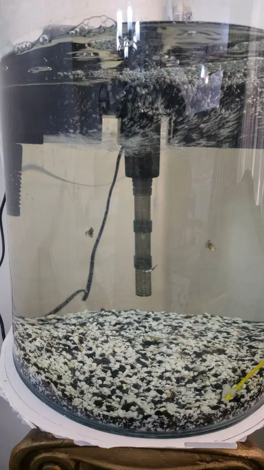 اکواریوم یا وسایل|ماهی|اهواز, ۳۰ متری|دیوار