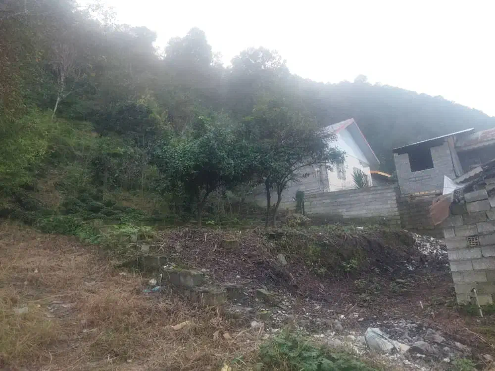 زمین مسکونی با ویو ابدی و بینظیر|فروش زمین و ملک کلنگی|لاهیجان, لیالستان|دیوار