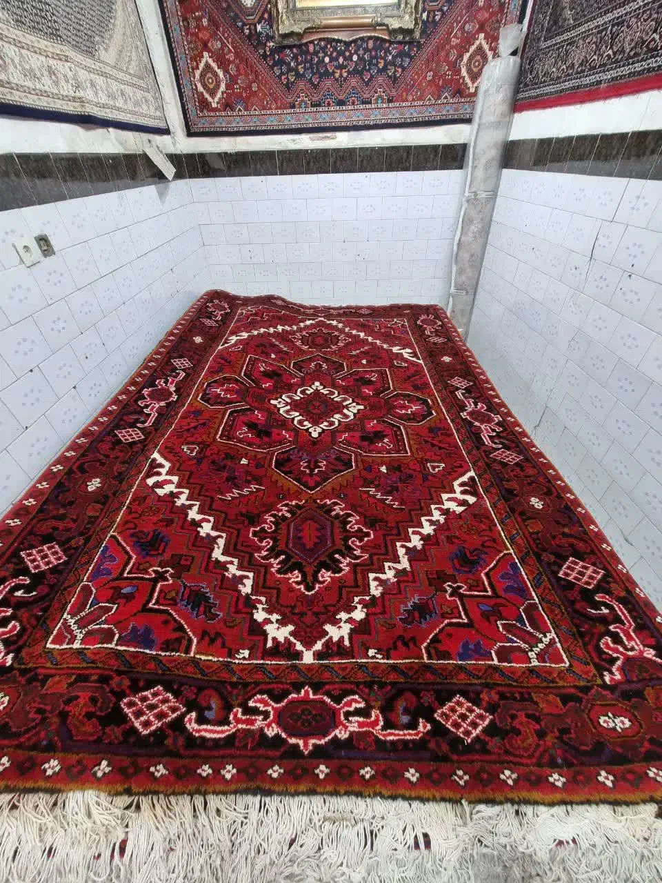 جفت جانقور شش متری|فرش|مراغه, |دیوار