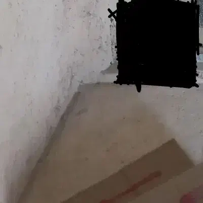 همخونه دانشجو پسر|اجارهٔ خانه و ویلا|جهرم, |دیوار