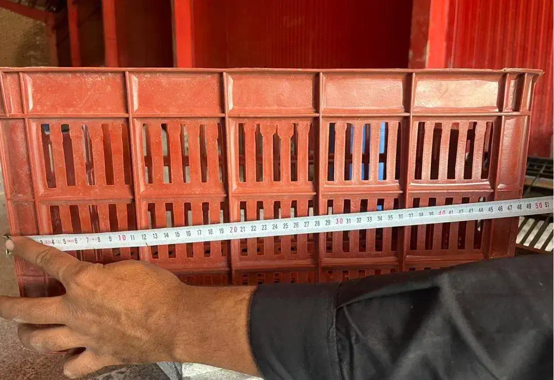 فروش سبد میوه در حد نو|فروشگاه و مغازه|بم, |دیوار