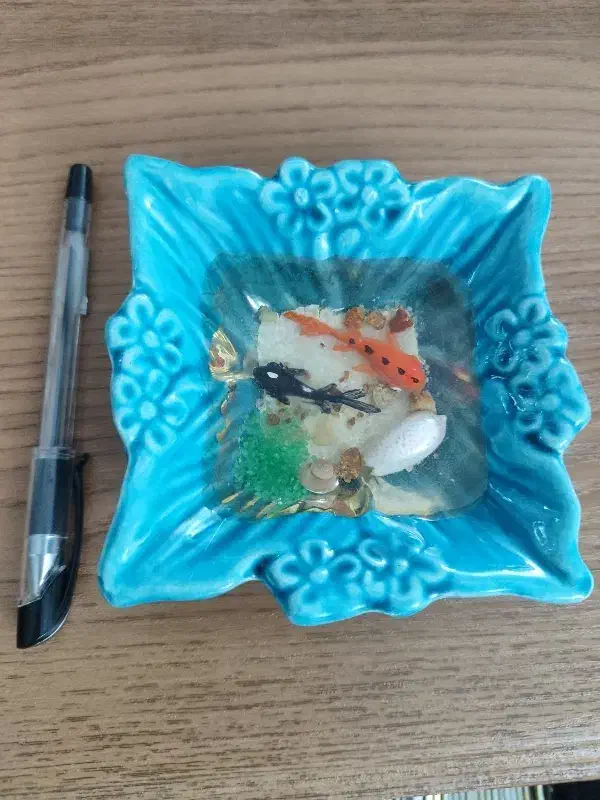 ماهی تزئینی|ماهی|قم, پردیسان|دیوار