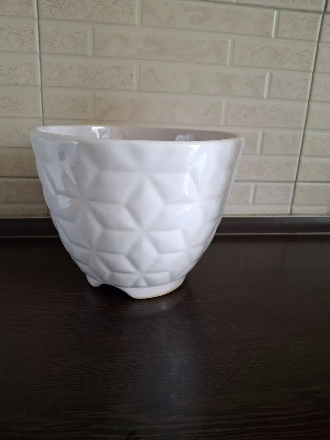 گلدان فیلودندرون برکین،گلدان سرامیکی|گل و گیاه طبیعی|تهران, فردوس|دیوار