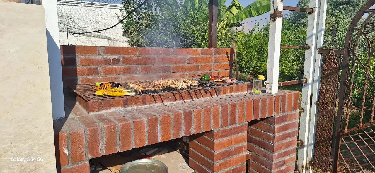 ویلا باغ در دشت سرسبز عقیلی گتوند|اجارهٔ کوتاه‌مدت ویلا و باغ|گتوند, |دیوار