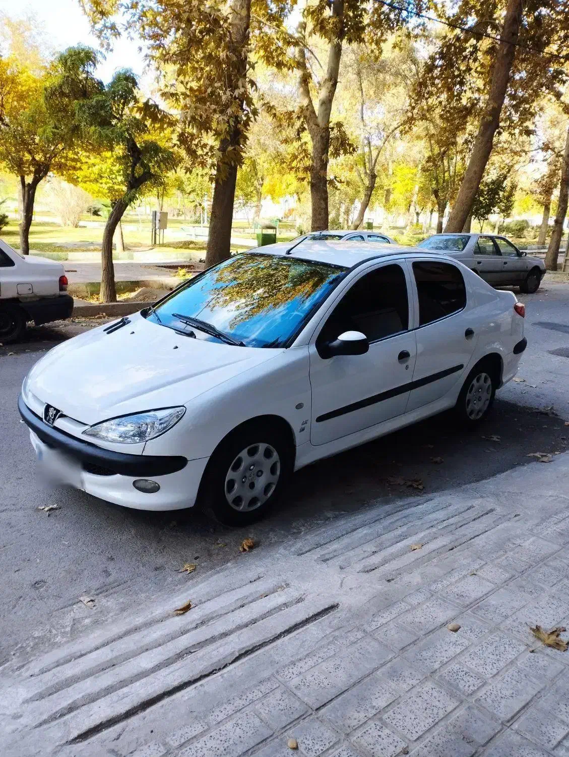 206sdV8مدل 96|خودرو سواری و وانت|همدان, |دیوار