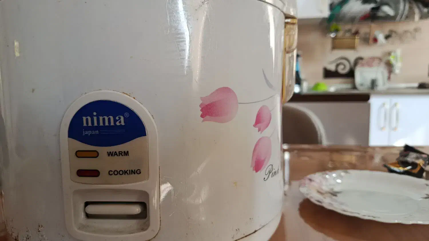 پلوپز سالم|اجاق گاز و لوازم برقی پخت‌وپز|رشت, پاستوریزه|دیوار