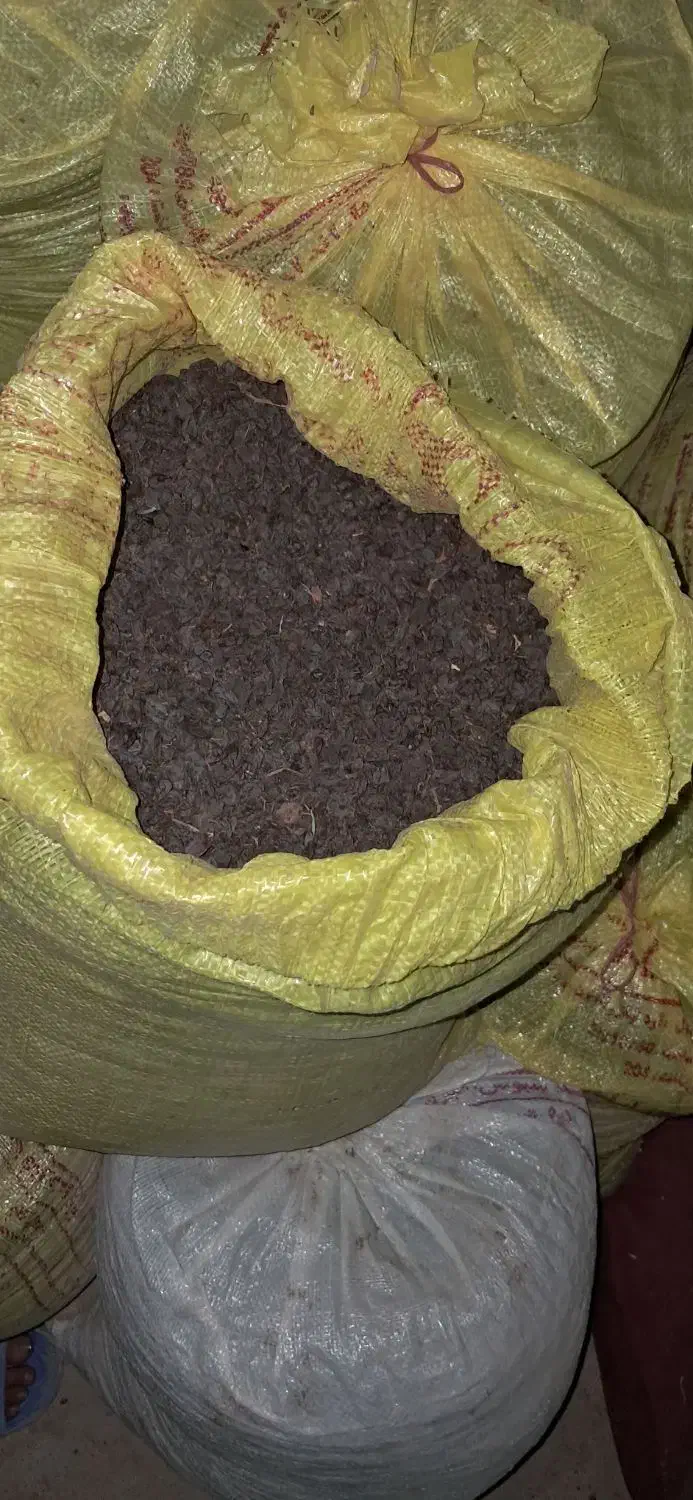 مویز کشمش|خوردنی و آشامیدنی|بیضا, |دیوار