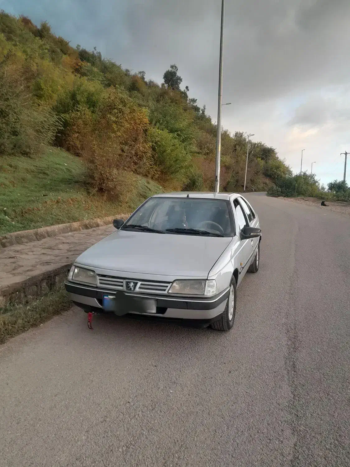 فروش پژو۴۰۵ دوگانه شرکتی|خودرو سواری و وانت|ماسال, |دیوار