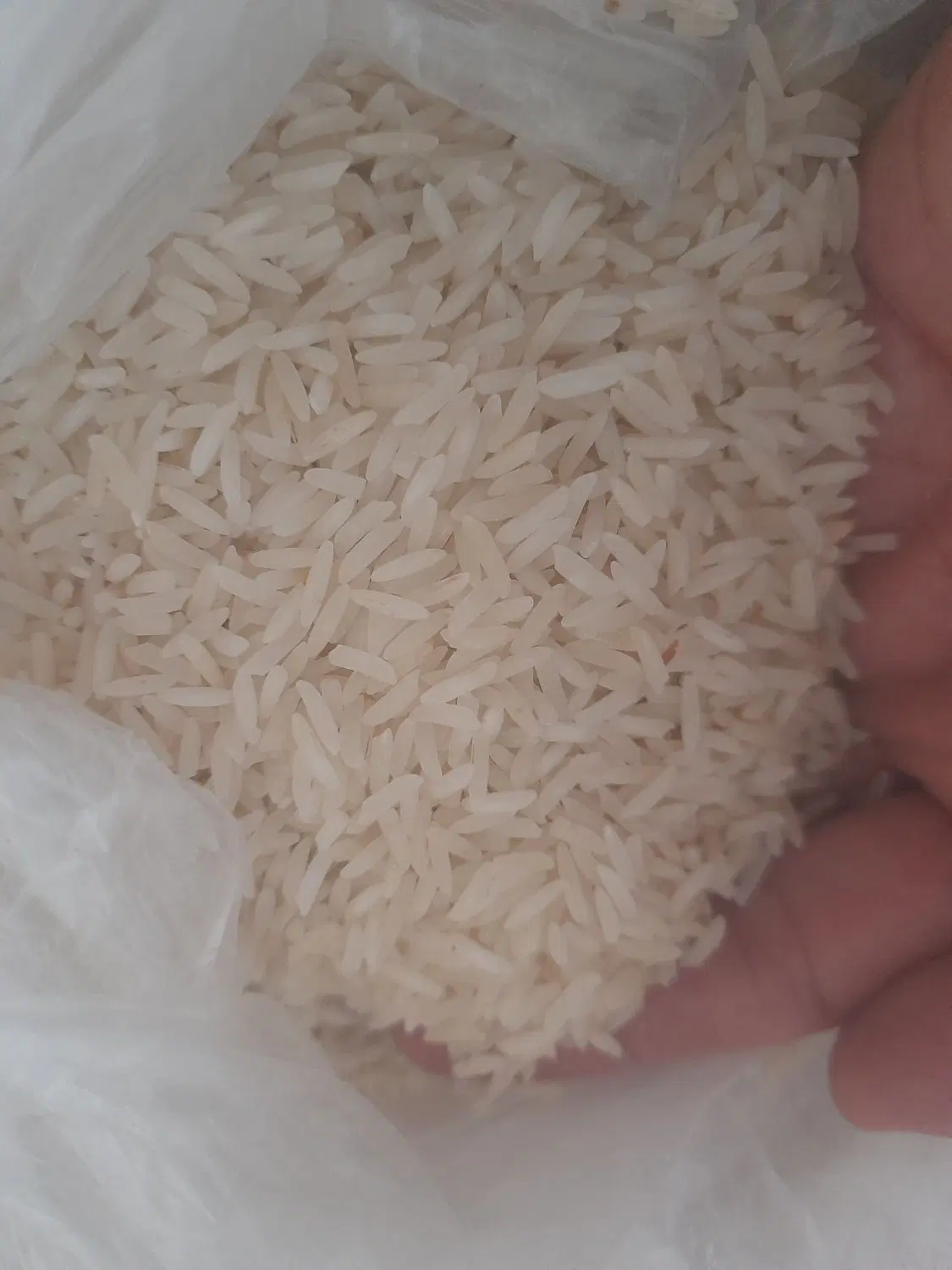 برنج ۳۸۶|خوردنی و آشامیدنی|مشهد, خاتم الانبیا|دیوار