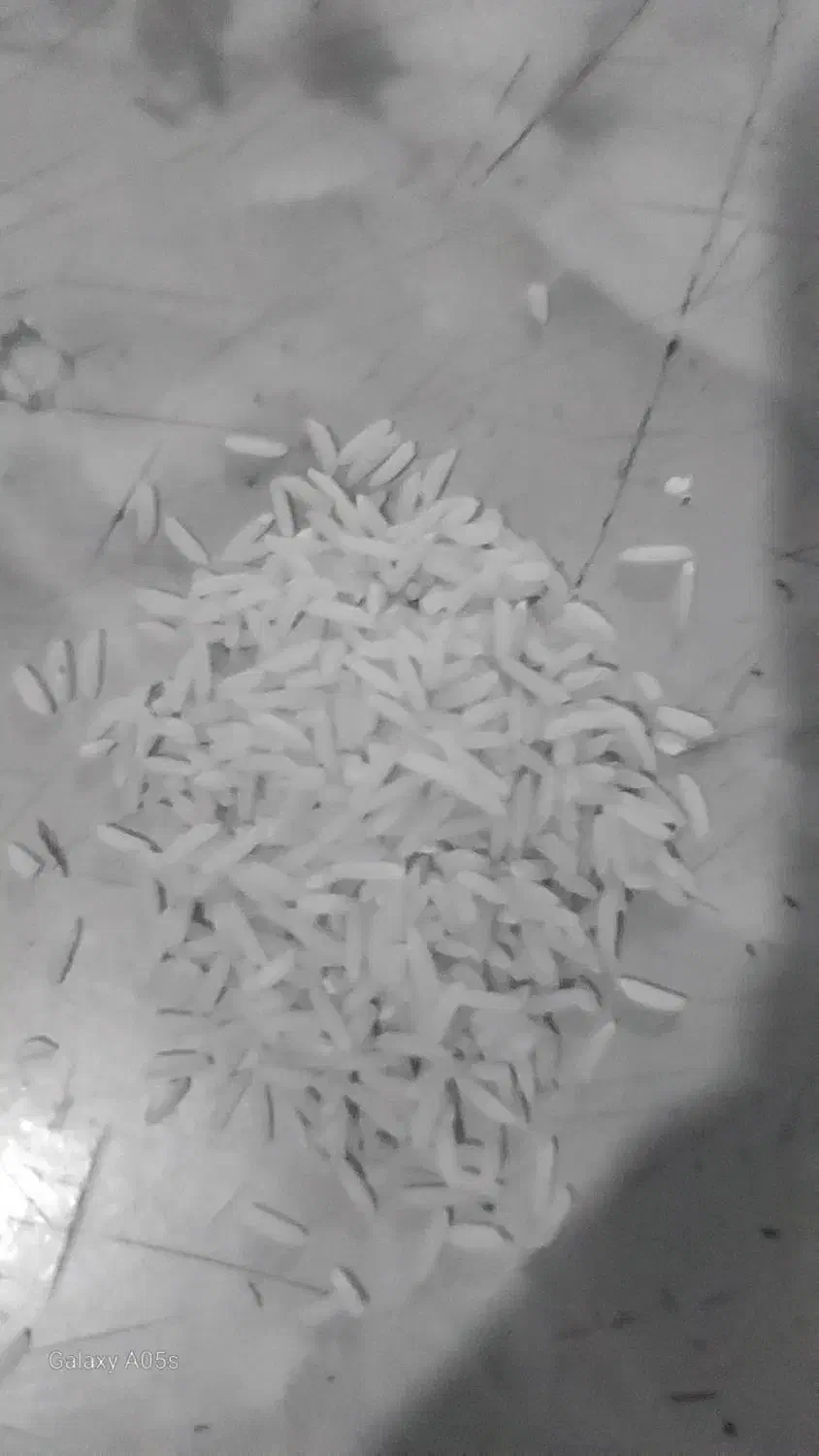 برنج طارم  دم سیاه|عمده‌فروشی|ری, منصوریه منگل|دیوار