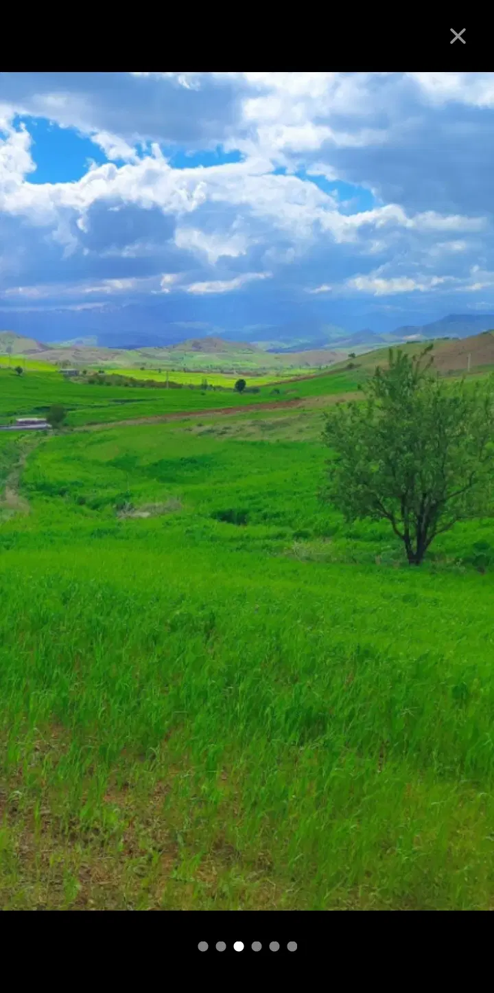 فروش زمین|فروش زمین و ملک کلنگی|چهاردانگه (تهران), |دیوار