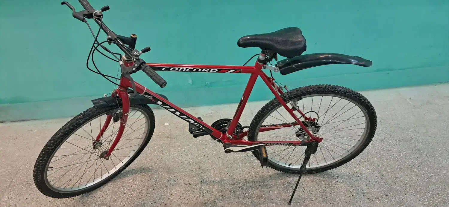 دوچرخه ۲۶|دوچرخه، اسکیت، اسکوتر|تربتحیدریه, قائم|دیوار