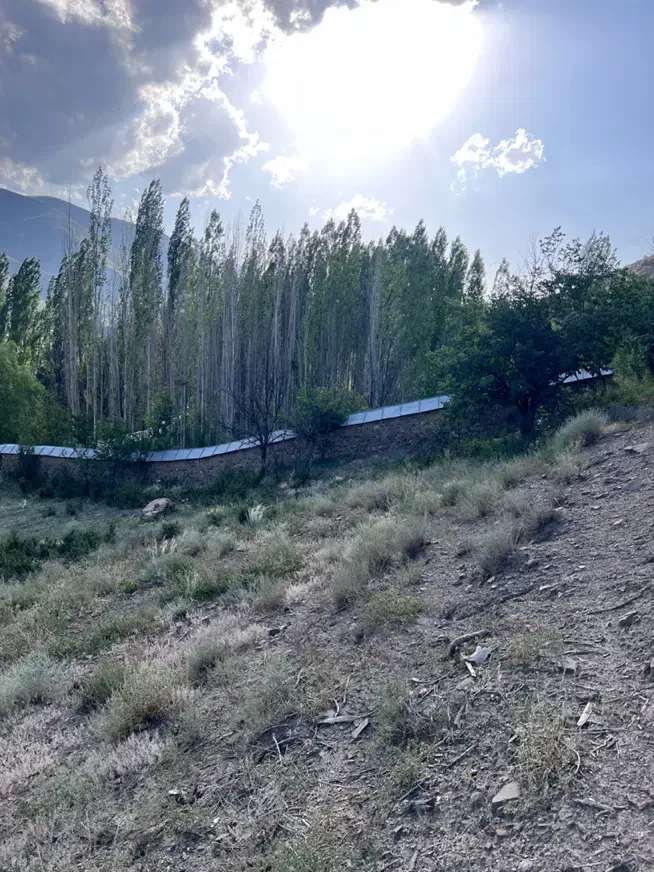 زمین کشاورزی قابل ساخت تا ۵۰ الی ۶۰ متر|فروش زمین و ملک کلنگی|بلده, |دیوار