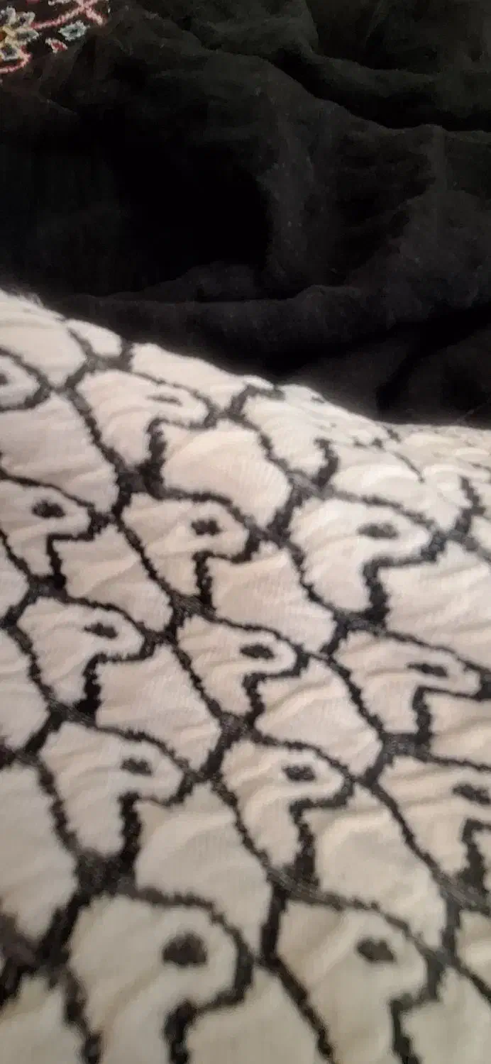 روکش صندلی ناهارخوری|میز و صندلی غذاخوری|شیراز, چوگیاه|دیوار