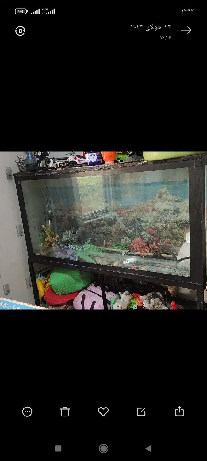 آکواریوم با همه وسایل حتی پمپ و بخاری استیل|ماهی|ابهر, |دیوار