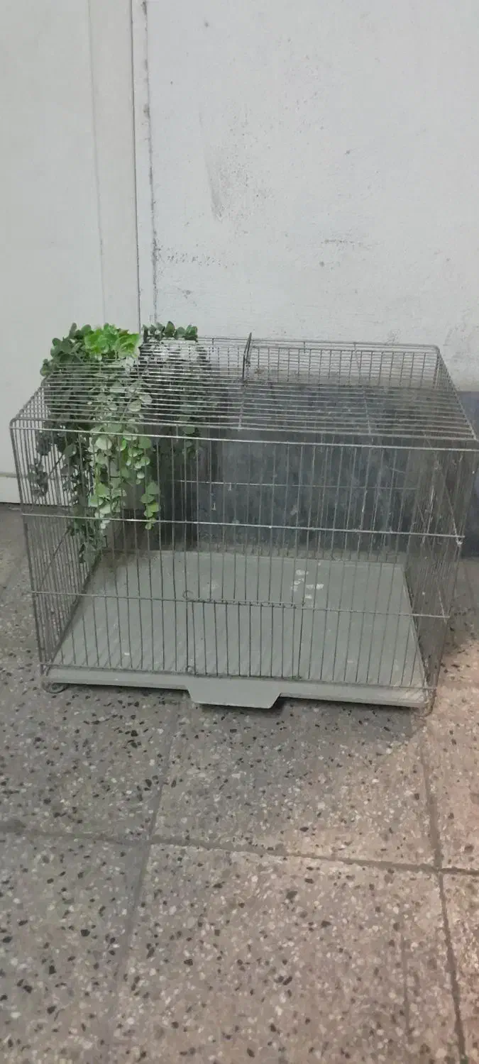 قفس بزرگ (جفت کن قناری) و قفس بزرگ طولی سانان|لوازم جانبی حیوانات|تهران, علم و صنعت|دیوار