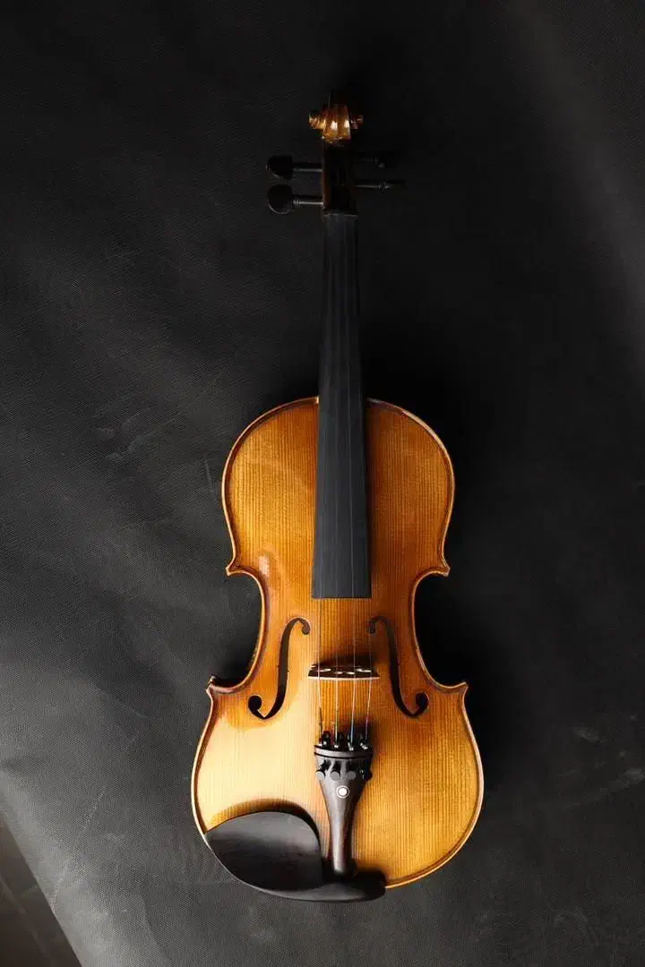 ویولن انتخاب مطمئن /|ویولن|مشهد, ولیعصر (شهرک غرب)|دیوار