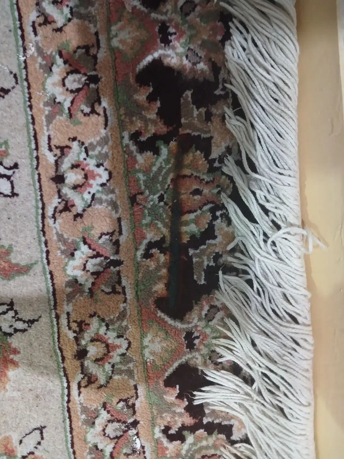 قالی ۱۲ متری|فرش|اهواز, فرهنگ شهر|دیوار