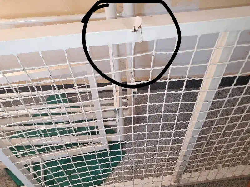 تخت بیمار|پزشکی|ارومیه, |دیوار