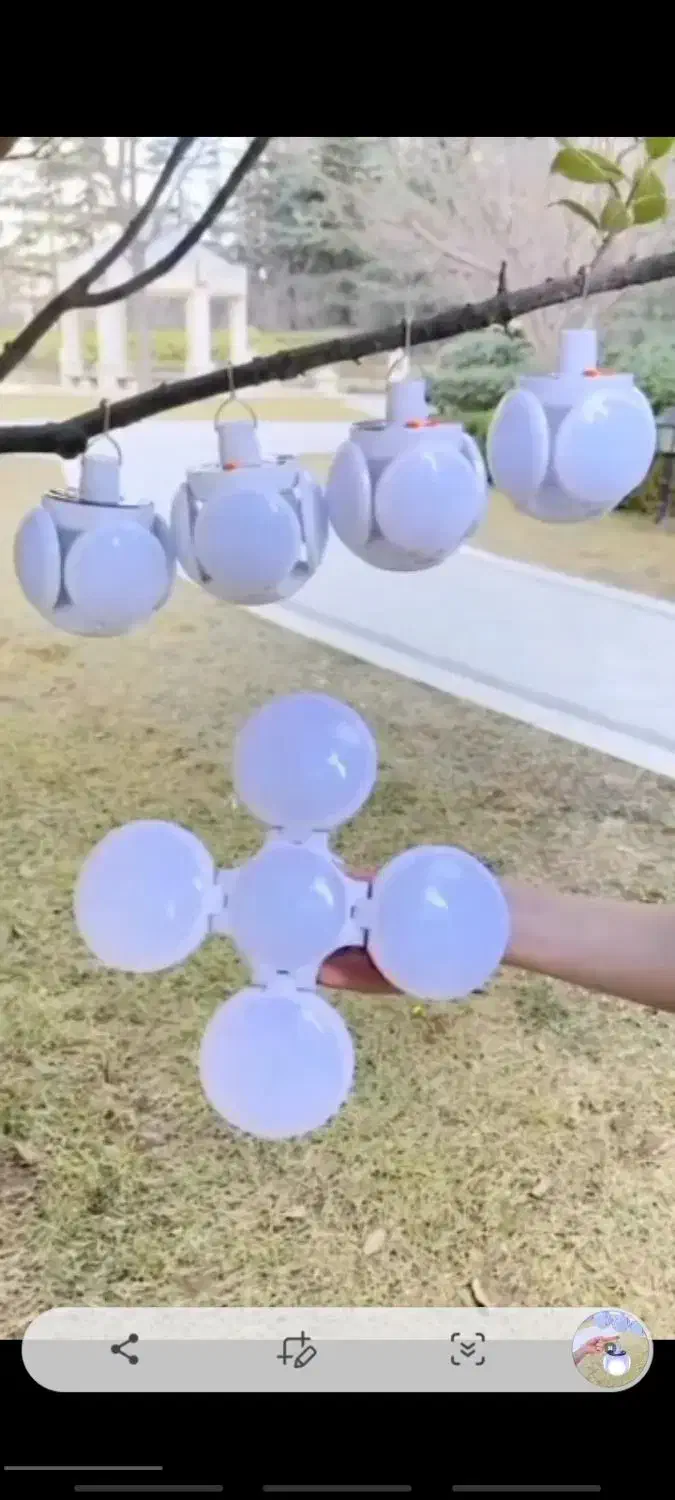 لامپ پنج پر|ریسه و چراغ تزئینی|یزد, |دیوار