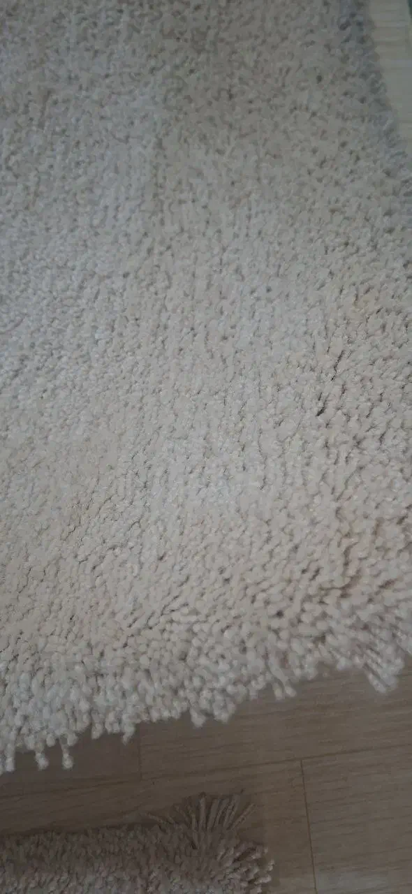 پالاز موکت|موکت|سقز, |دیوار