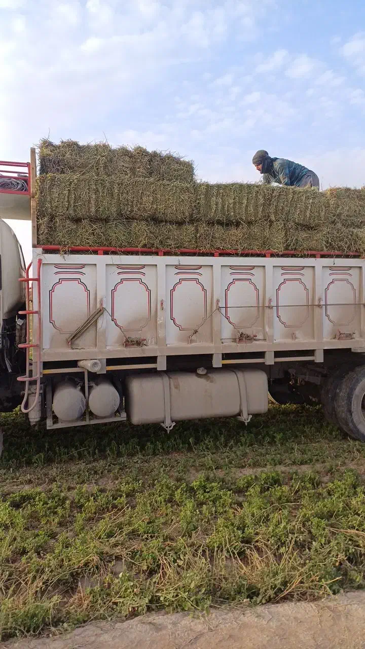 تامین کننده  یونجه پرس هستیم|عمده‌فروشی|مشهد, ایثارگران|دیوار