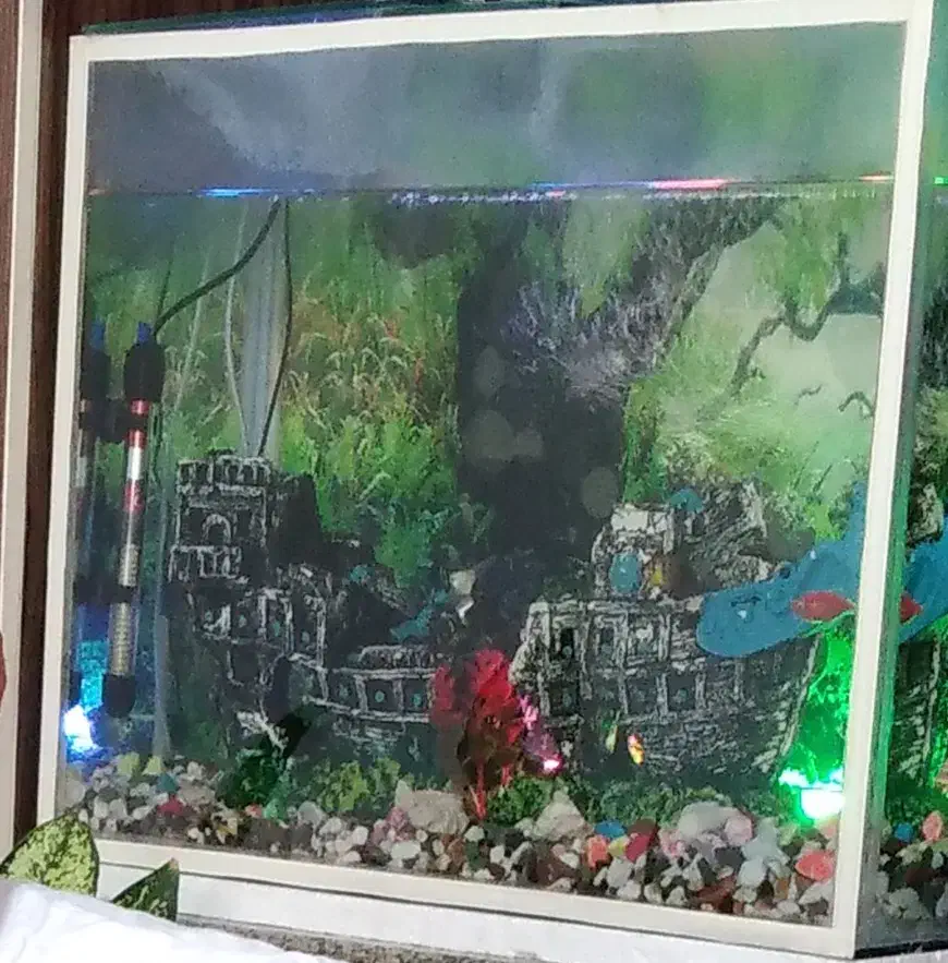 آکواریوم به فروش میرسد|ماهی|زرقان, |دیوار