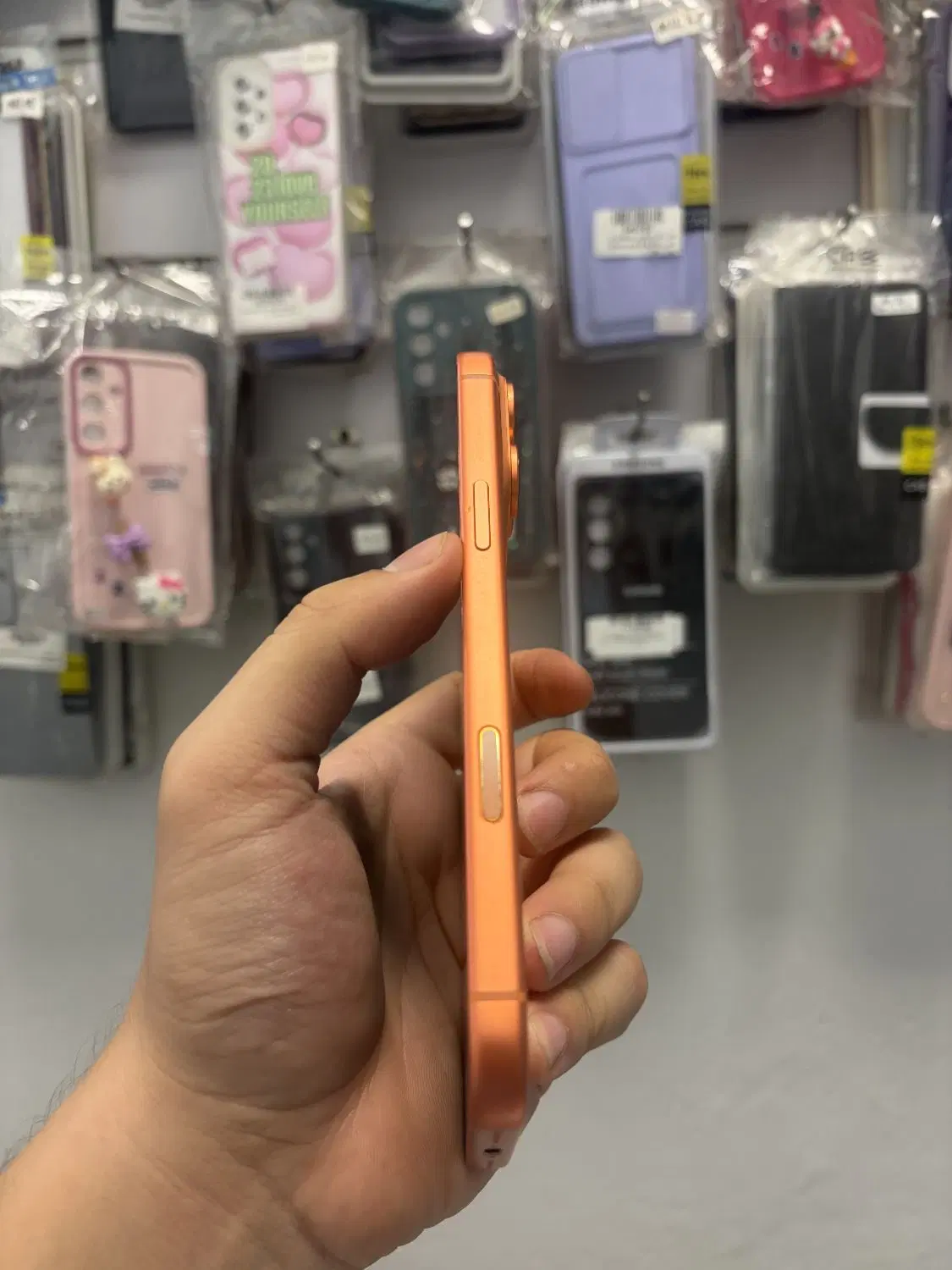 17 promax|موبایل|بابل, |دیوار