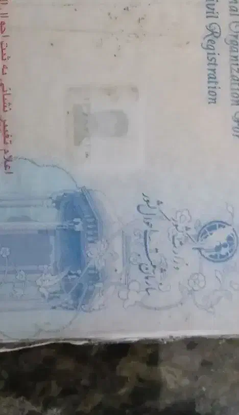 گم شده|اشیا|شادگان, |دیوار