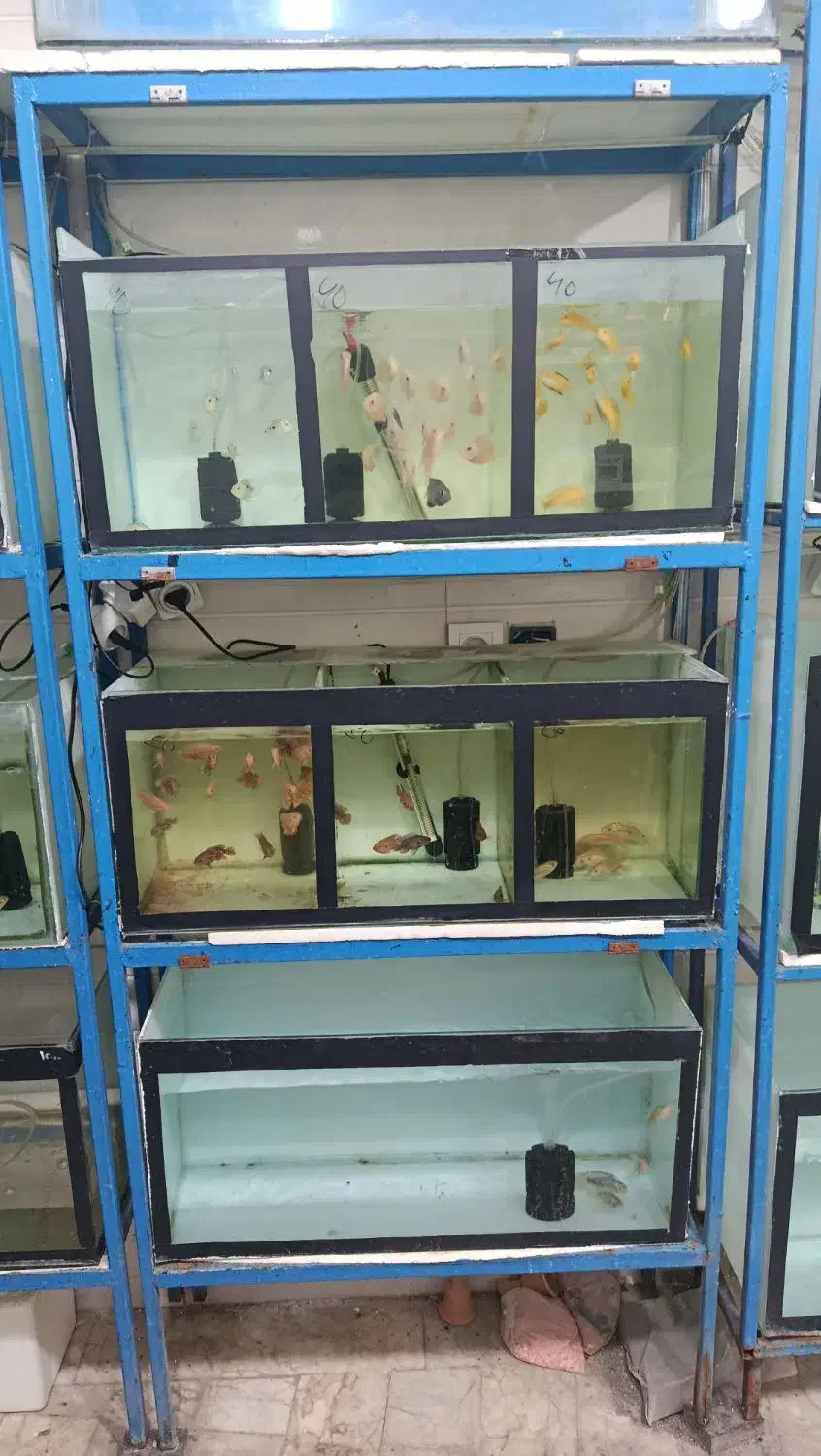 پایه و آکواریوم سه طبقه|ماهی|مشهد, اروند|دیوار