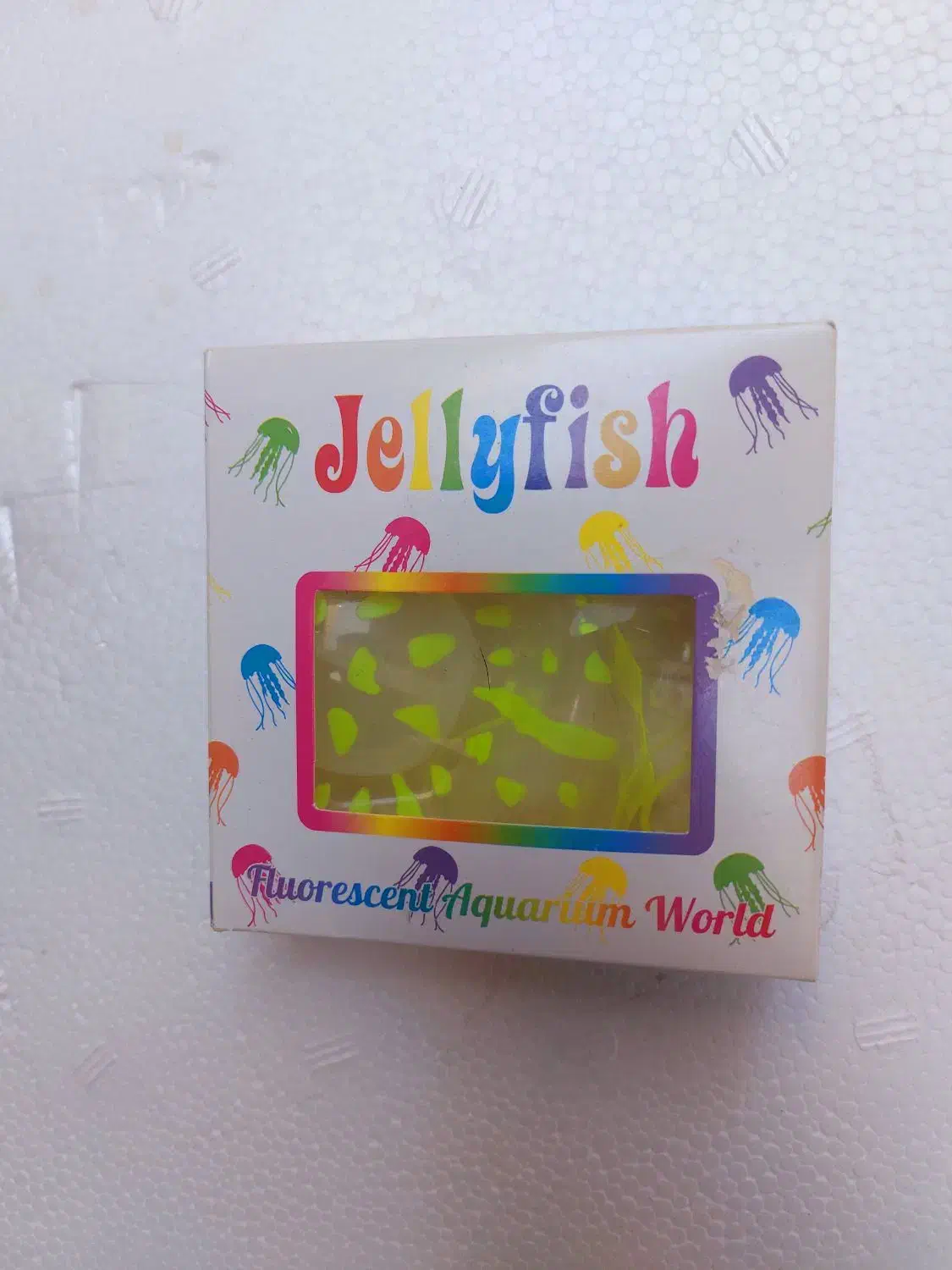 عروس دریایی ،آکواریوم|ماهی|زاهدان, |دیوار